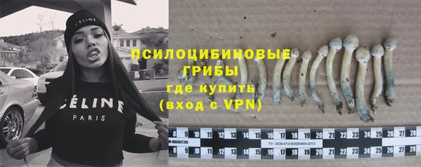 крисы Нефтегорск
