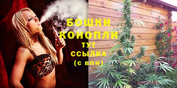 хмурый Нея