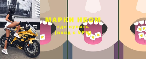 хмурый Нея