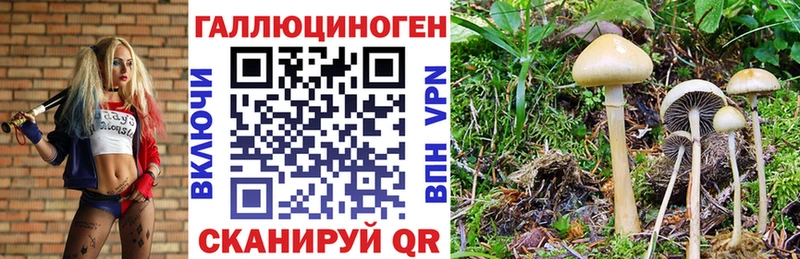 Галлюциногенные грибы MAGIC MUSHROOMS Тосно